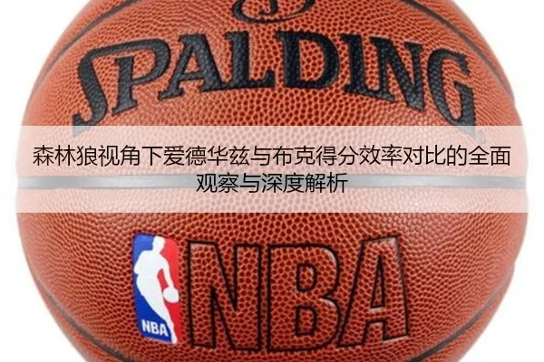 森林狼视角下爱德华兹与布克得分效率对比的全面观察与深度解析